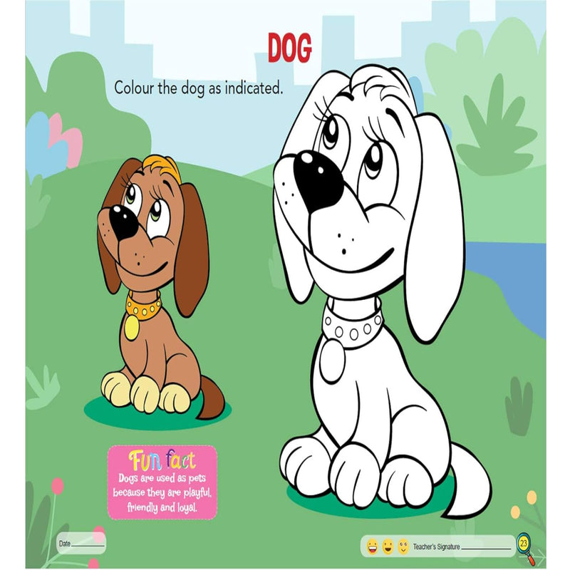 Art & Craft Activity Book