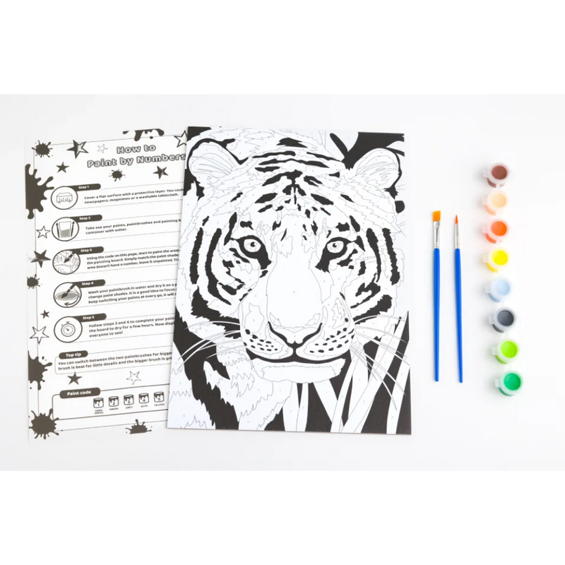 Art Fantastic Paint By Numbers