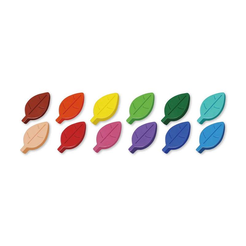 Avenir Crayon Activity Kit