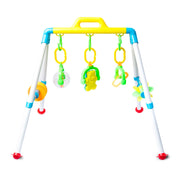 Baby Play Gym