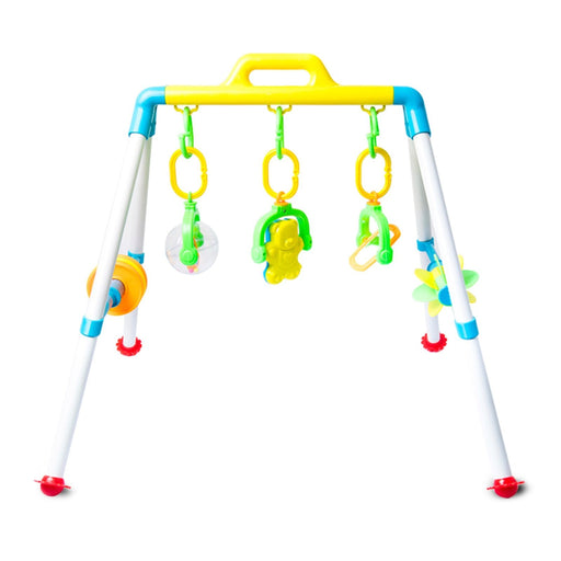 Baby Play Gym-simple-Toymate-Toycra