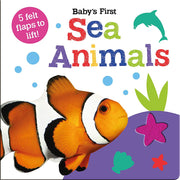 Baby's First Felt Flap Book