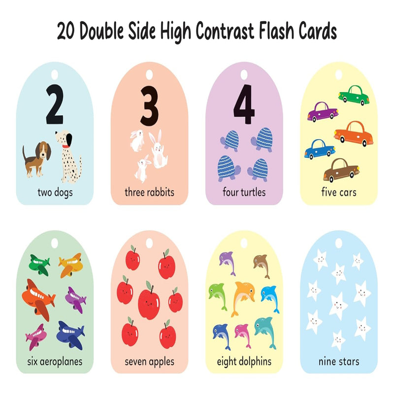 Baby's First Flash Cards