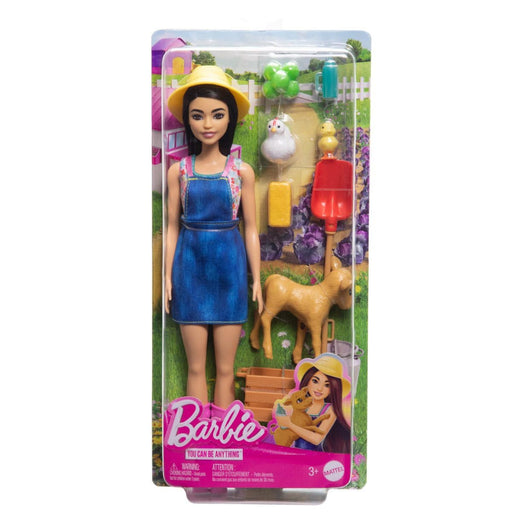 Barbie Careers Doll & Accessories