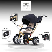 Bentley 6-in-1 Baby Stroller