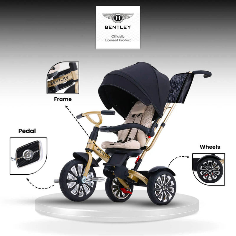 Bentley 6-in-1 Baby Stroller