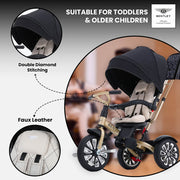 Bentley 6-in-1 Baby Stroller
