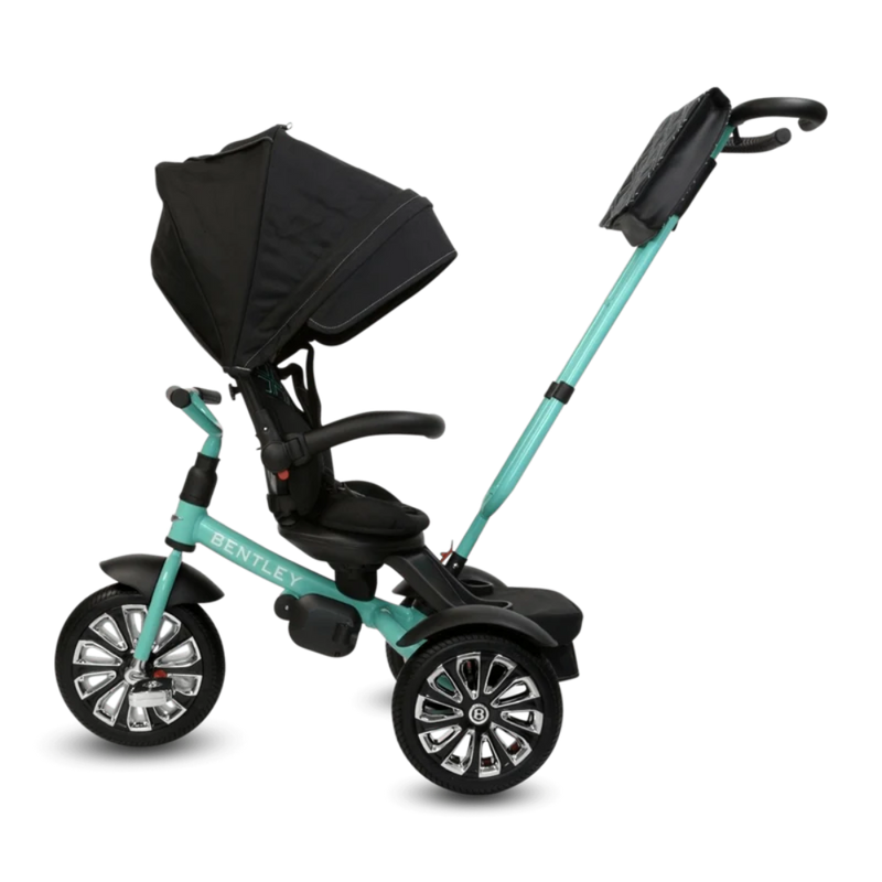 Bentley 6-in-1 Baby Stroller