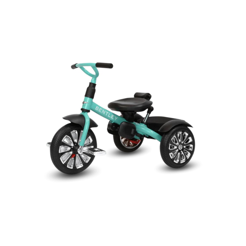 Bentley 6-in-1 Baby Stroller