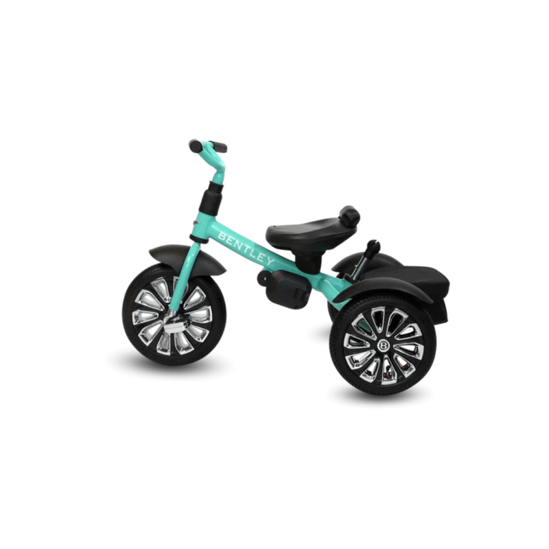 Bentley 6-in-1 Baby Stroller