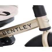 Bentley 6-in-1 Baby Stroller