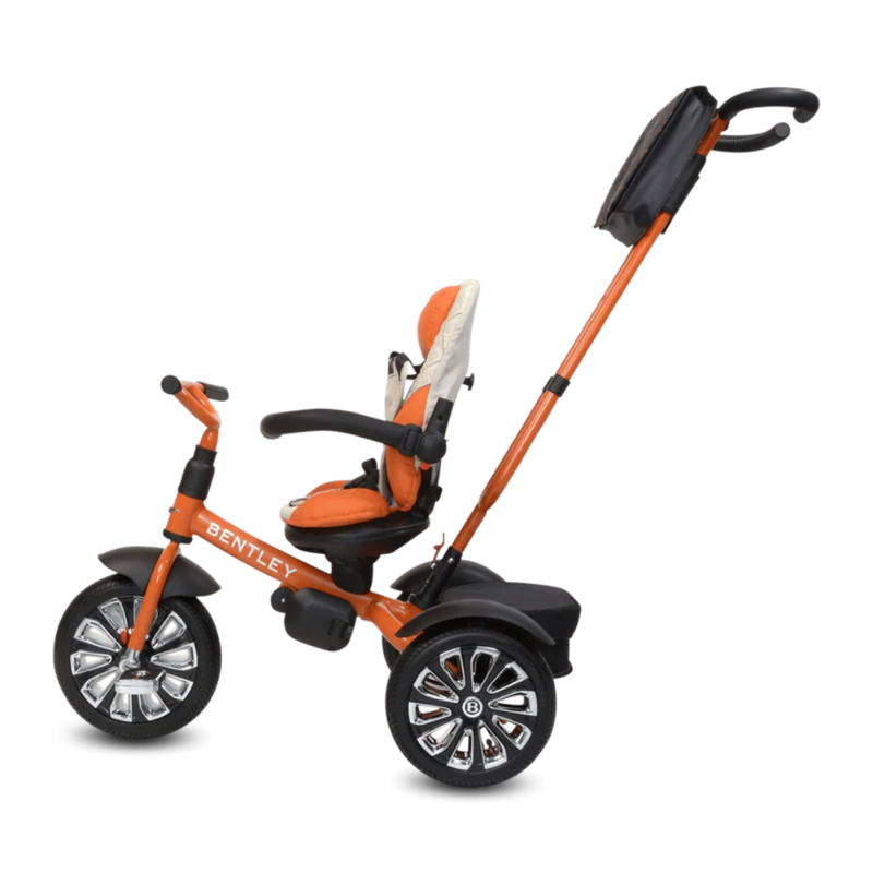 Bentley 6-in-1 Baby Stroller