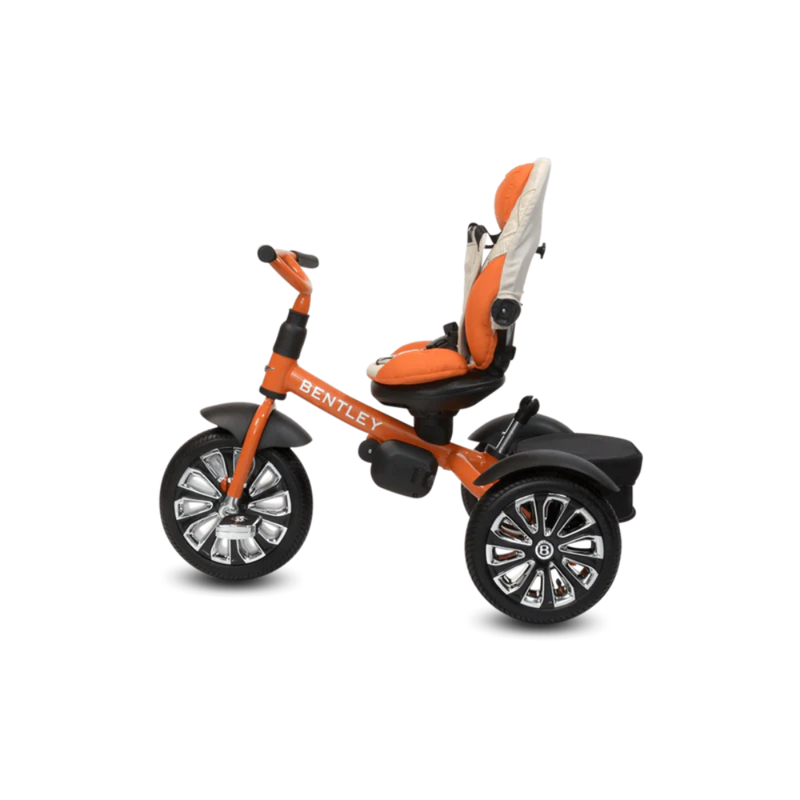 Bentley 6-in-1 Baby Stroller