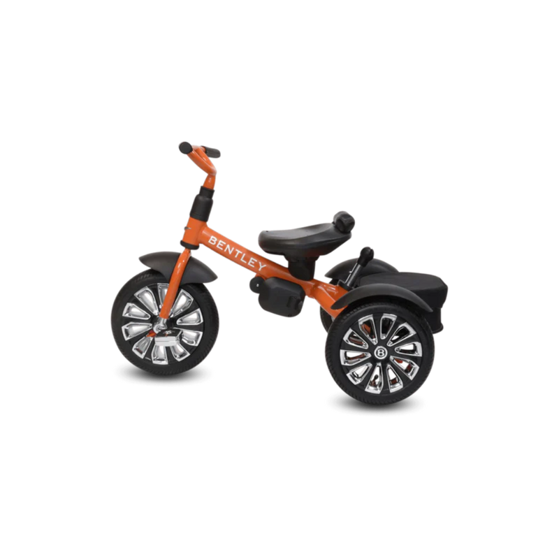 Bentley 6-in-1 Baby Stroller