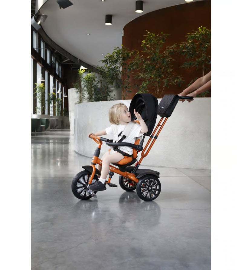 Bentley 6-in-1 Baby Stroller