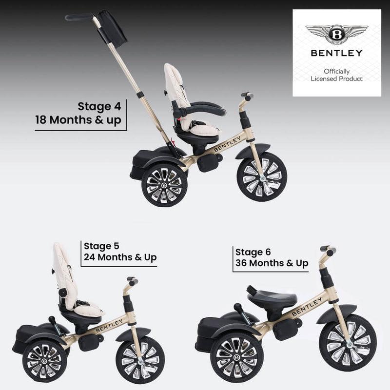 Bentley 6-in-1 Baby Stroller