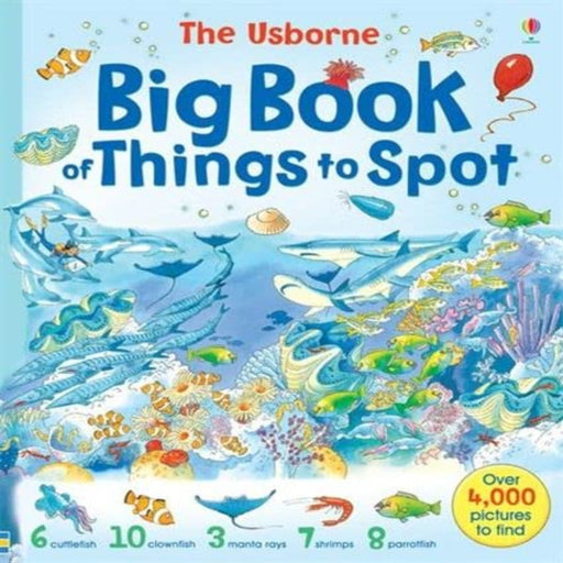 Big Book Of Things To Spot-Picture Book-Usb-Toycra