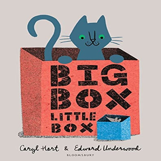 Big Box Little Box-Story Books-Bl-Toycra