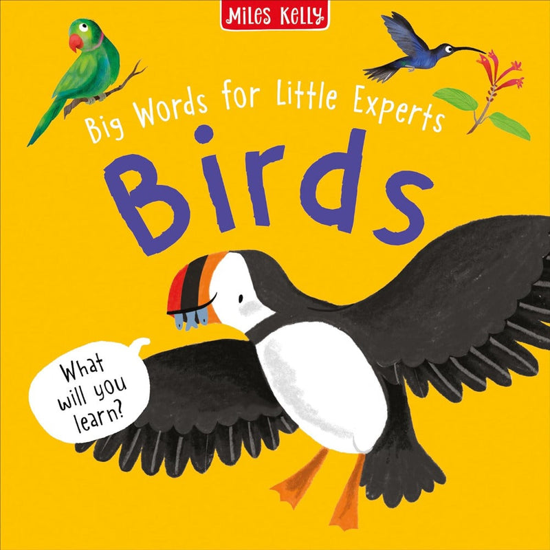 Big Words For Little Experts