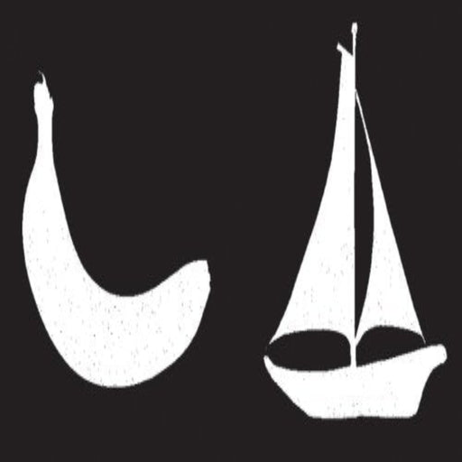 Black & White Board Book-Board Book-Hc-Toycra