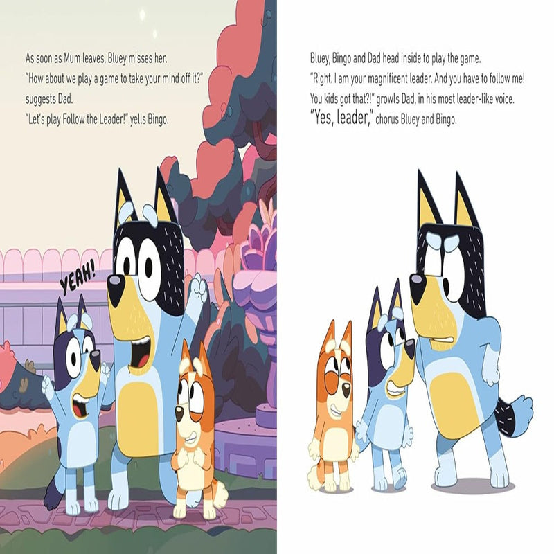 Bluey : A Ladybird Picture Book