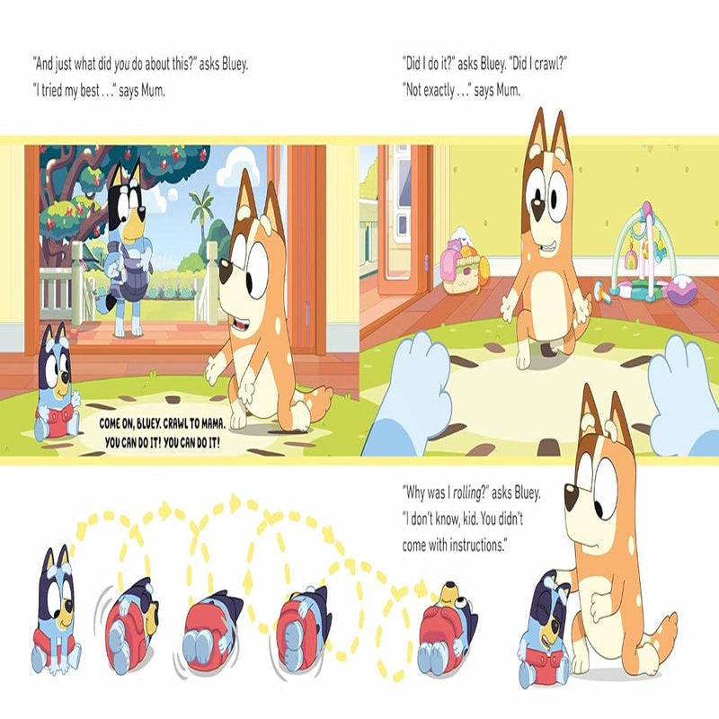 Bluey : A Ladybird Picture Book