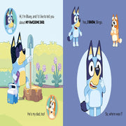 Bluey Board Book