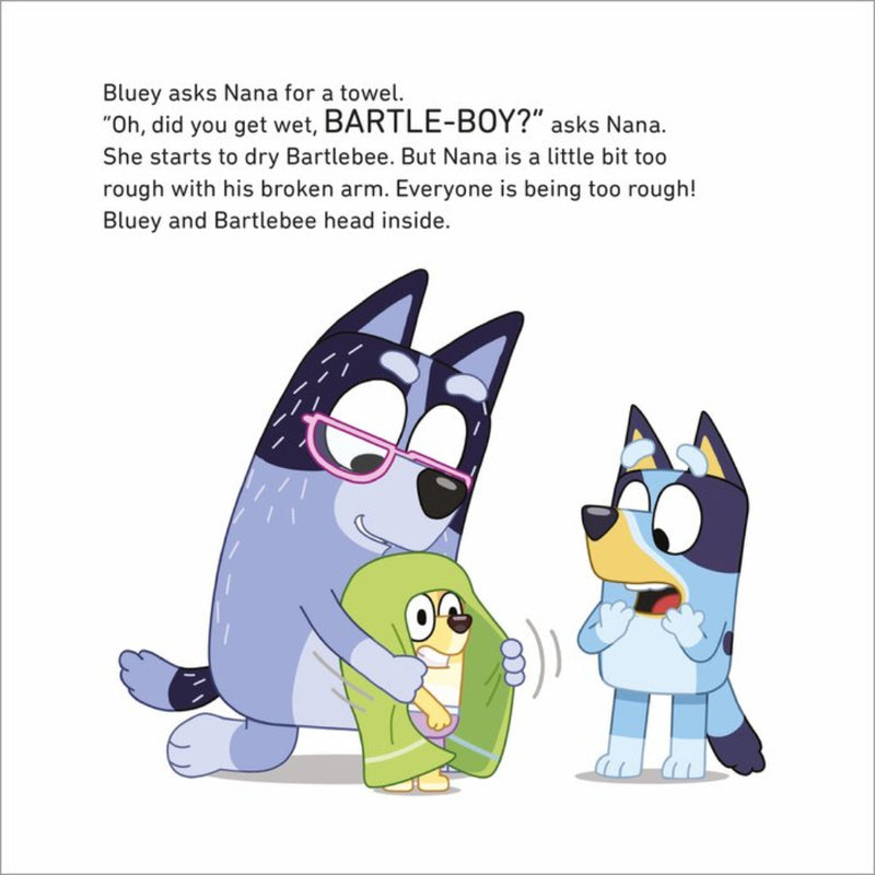 Bluey Christmas Swim