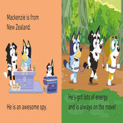 Bluey : Little Library