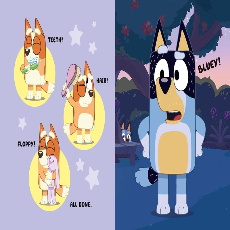 Bluey : Love From Bluey