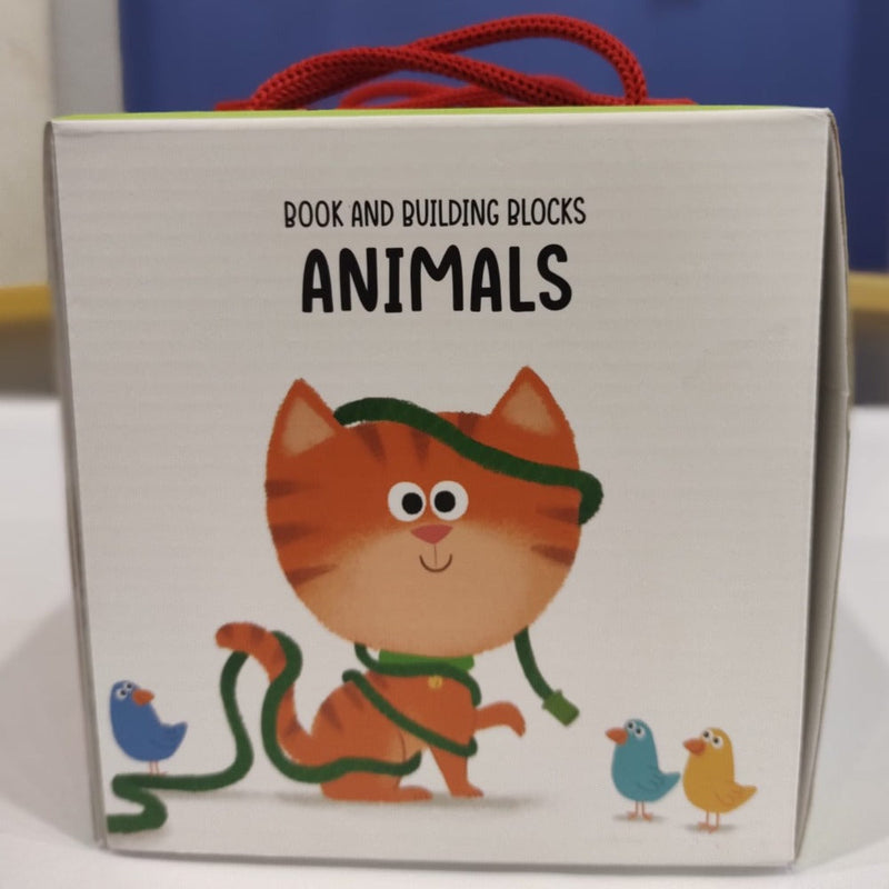 Book And Building Blocks