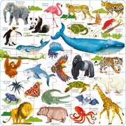 Book And Jigsaw Puzzles (49 Pieces)