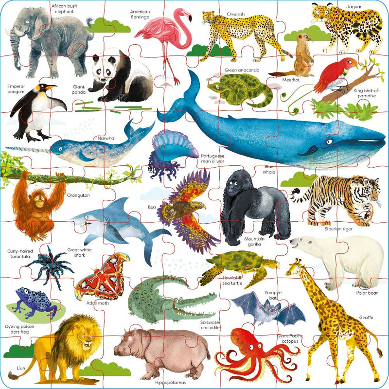 Book And Jigsaw Puzzles (49 Pieces)