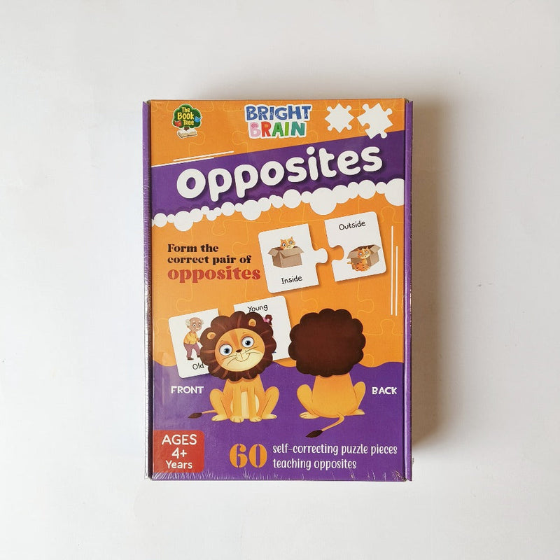 Brain Bright Puzzles