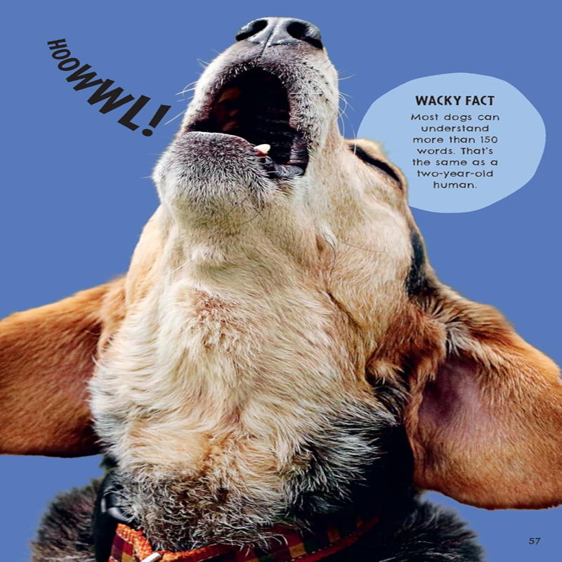 Britannica First Big Book Of Why