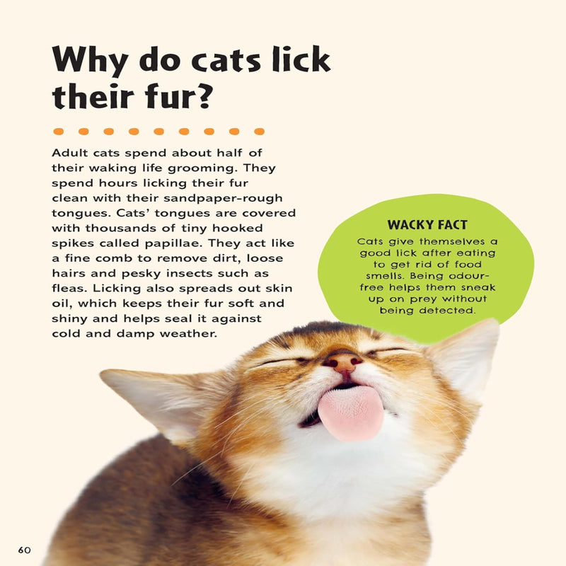Britannica First Big Book Of Why