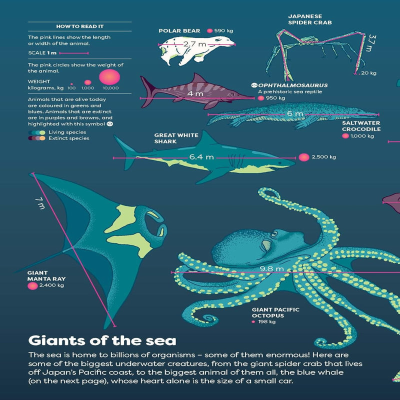Britannica’s Encyclopaedia Infographica