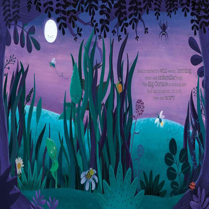 Bud-Picture Book-Bl-Toycra