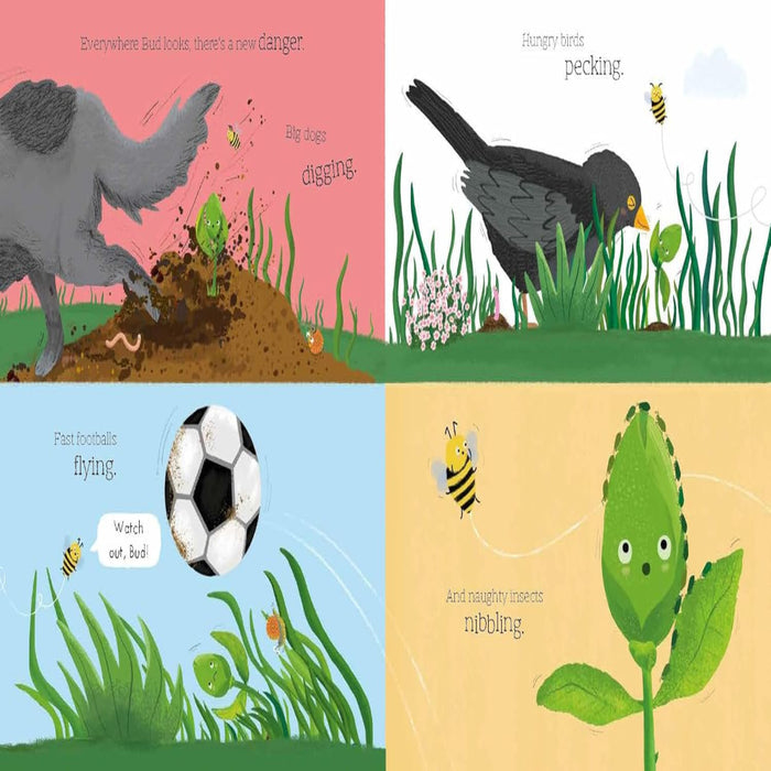 Bud-Picture Book-Bl-Toycra