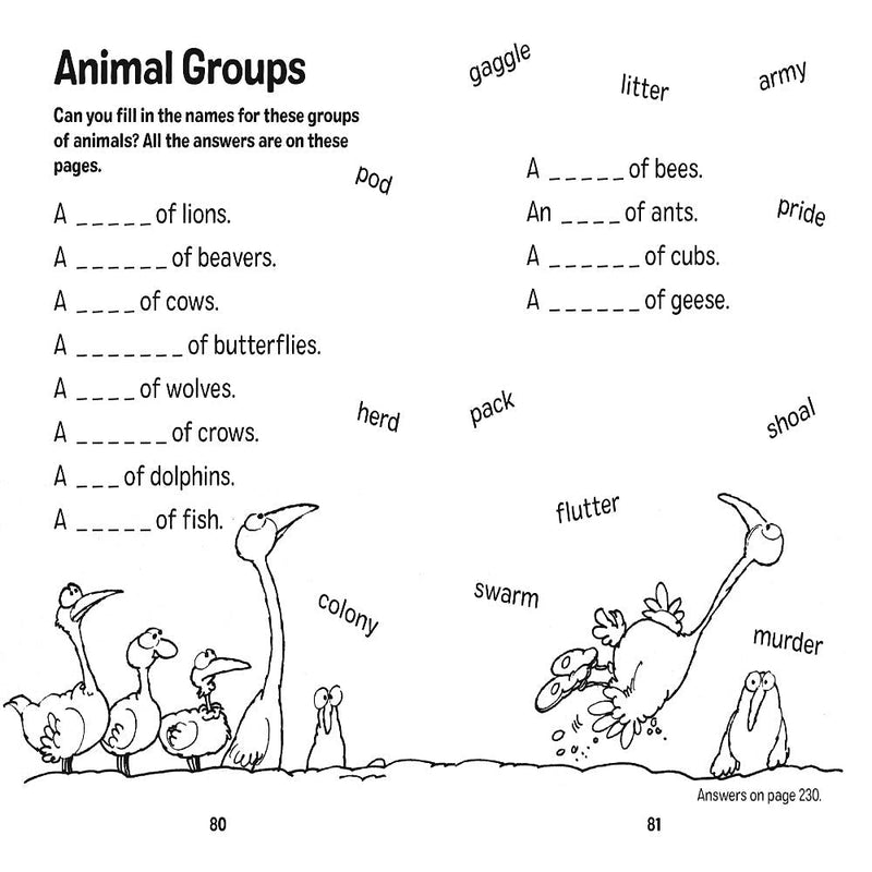 Bumper Book Of Christmas Fun