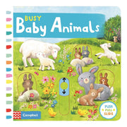 Busy Board Books