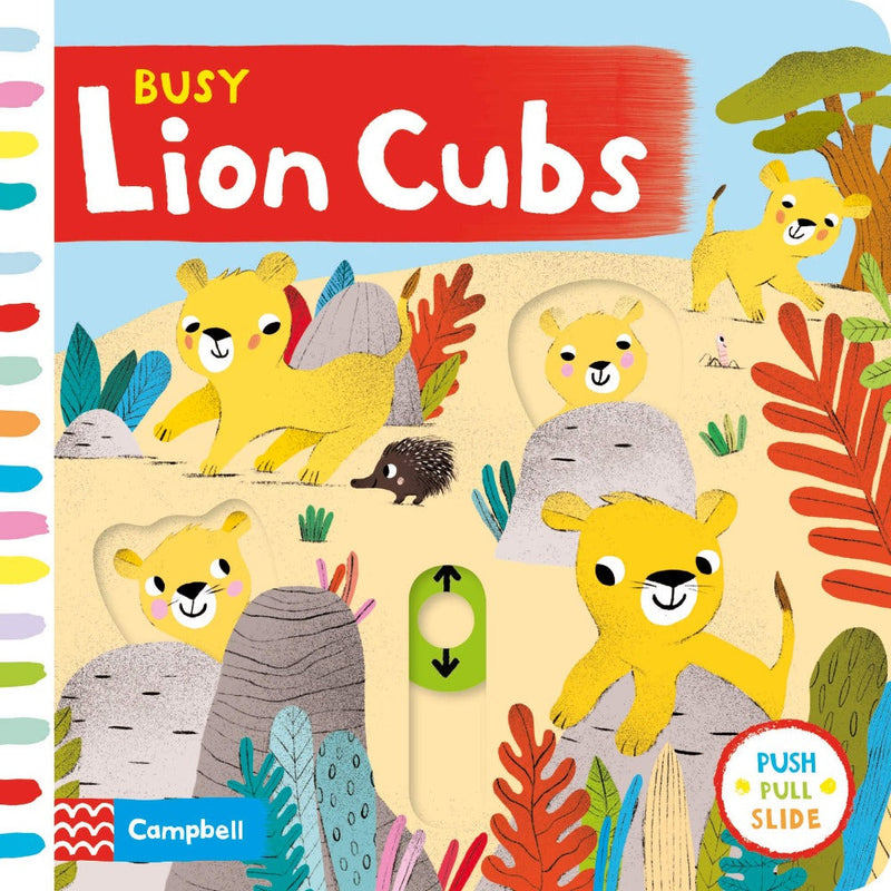 Busy Board Books