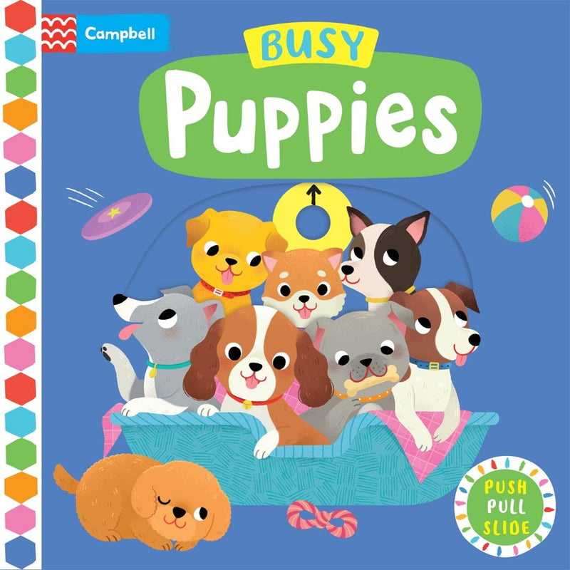 Busy Board Books