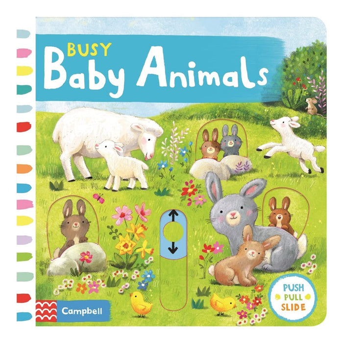 Busy Board Books-Board Book-Pan-Toycra