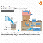 Butterfly Edufields Rain Water Harvesting | DIY Science Project Kit