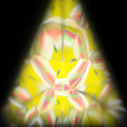 ButterflyEduFields Kaleidoscope DIY STEAM Toys