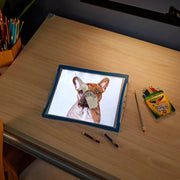 Crayola Light Up Tracing Pad-Arts & Crafts-Crayola-Toycra