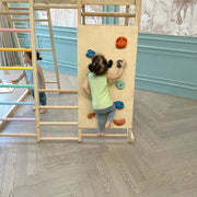 Curious Cub 7-in-1 Jungle gym
