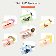 Curious Cub Brain Boosting Flash Cards