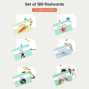 Curious Cub Brain Boosting Flash Cards
